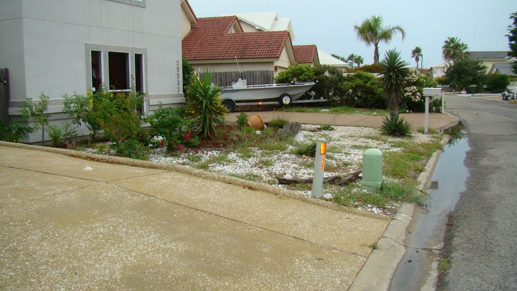 EXISTING PLANTS AND ROCK FRONT YARD TO BE REMOVED